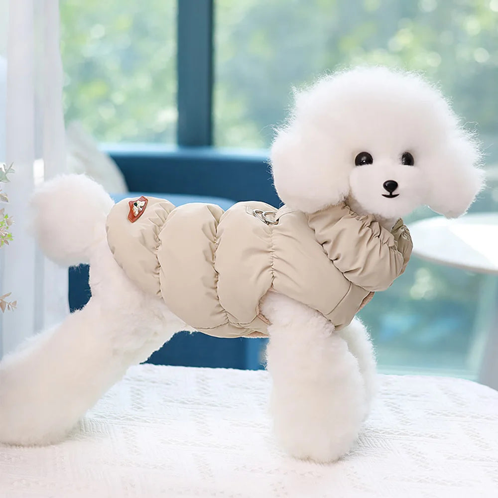Poodle wearing the beige padded winter jacket