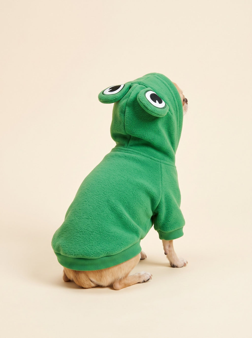Frog Hoodie for Dogs