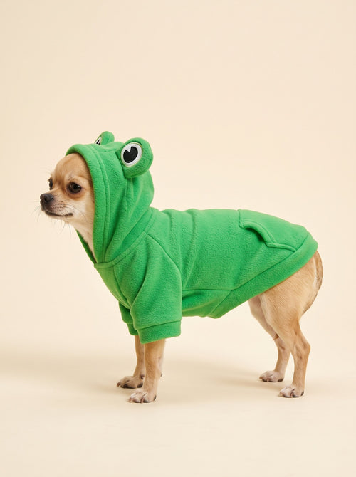Frog Hoodie for Dogs
