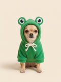 Frog Hoodie for Dogs