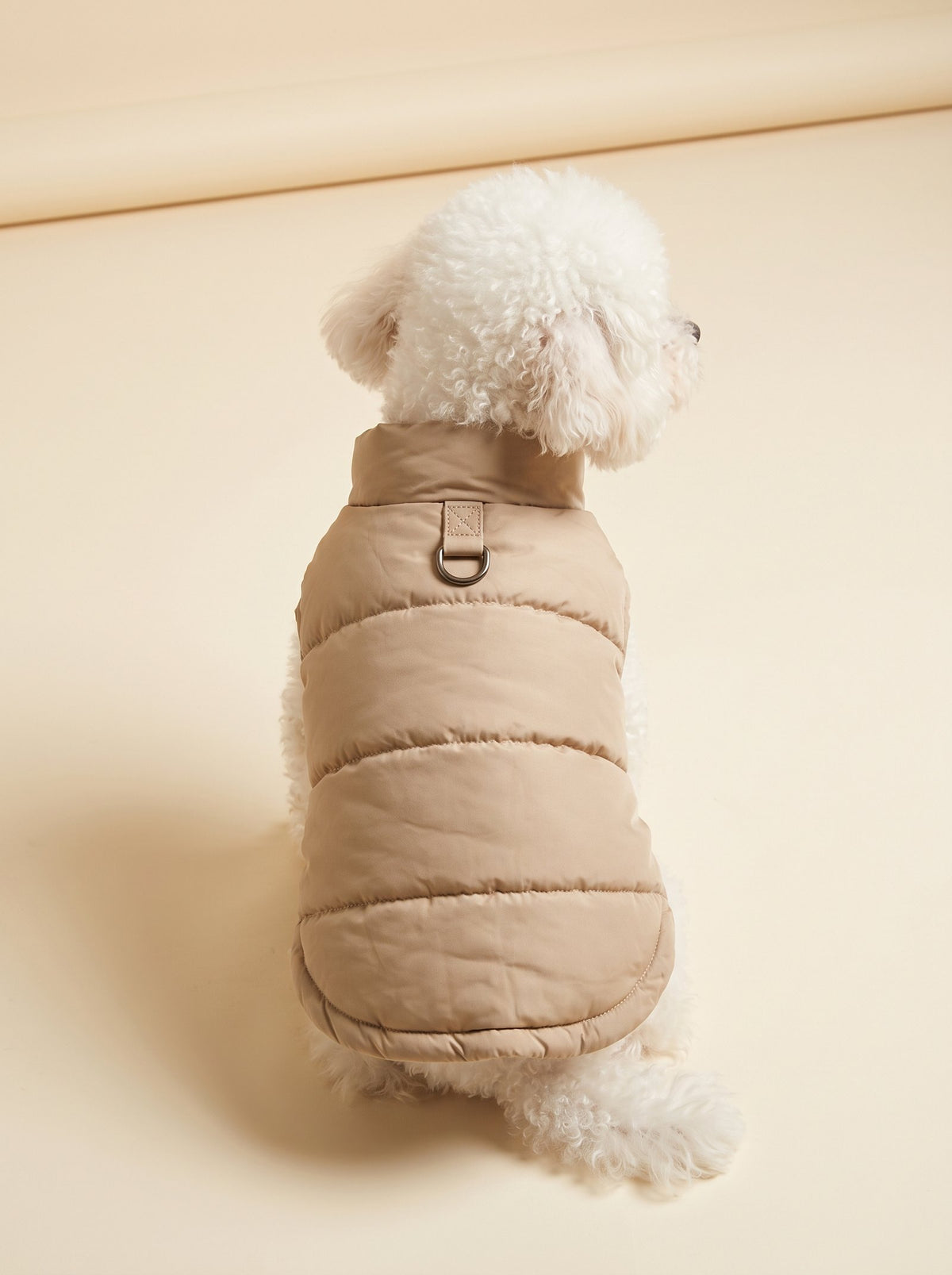 Padded Winter Jacket for Dogs