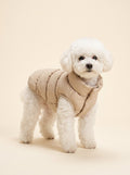 Padded Winter Jacket for Dogs