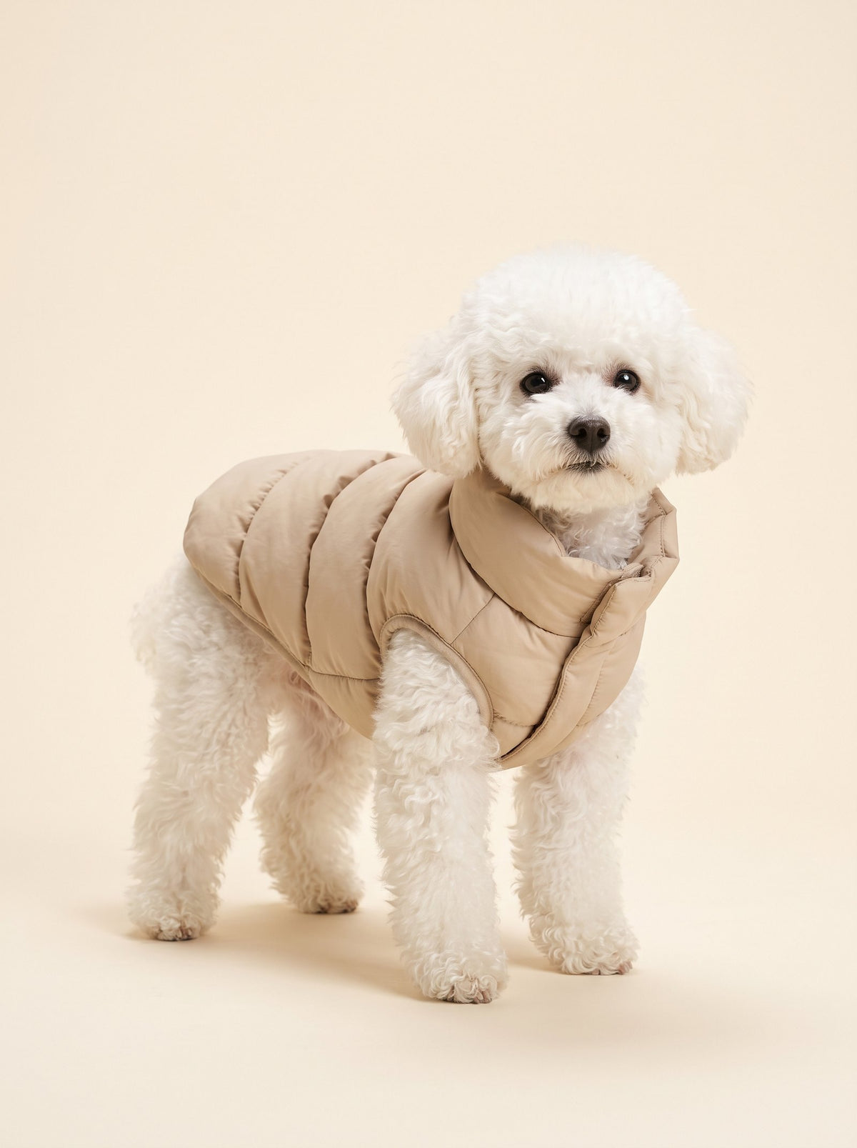 Padded Winter Jacket for Dogs